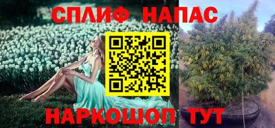 альфа пвп Заволжье