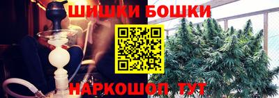 стаф Заводоуковск